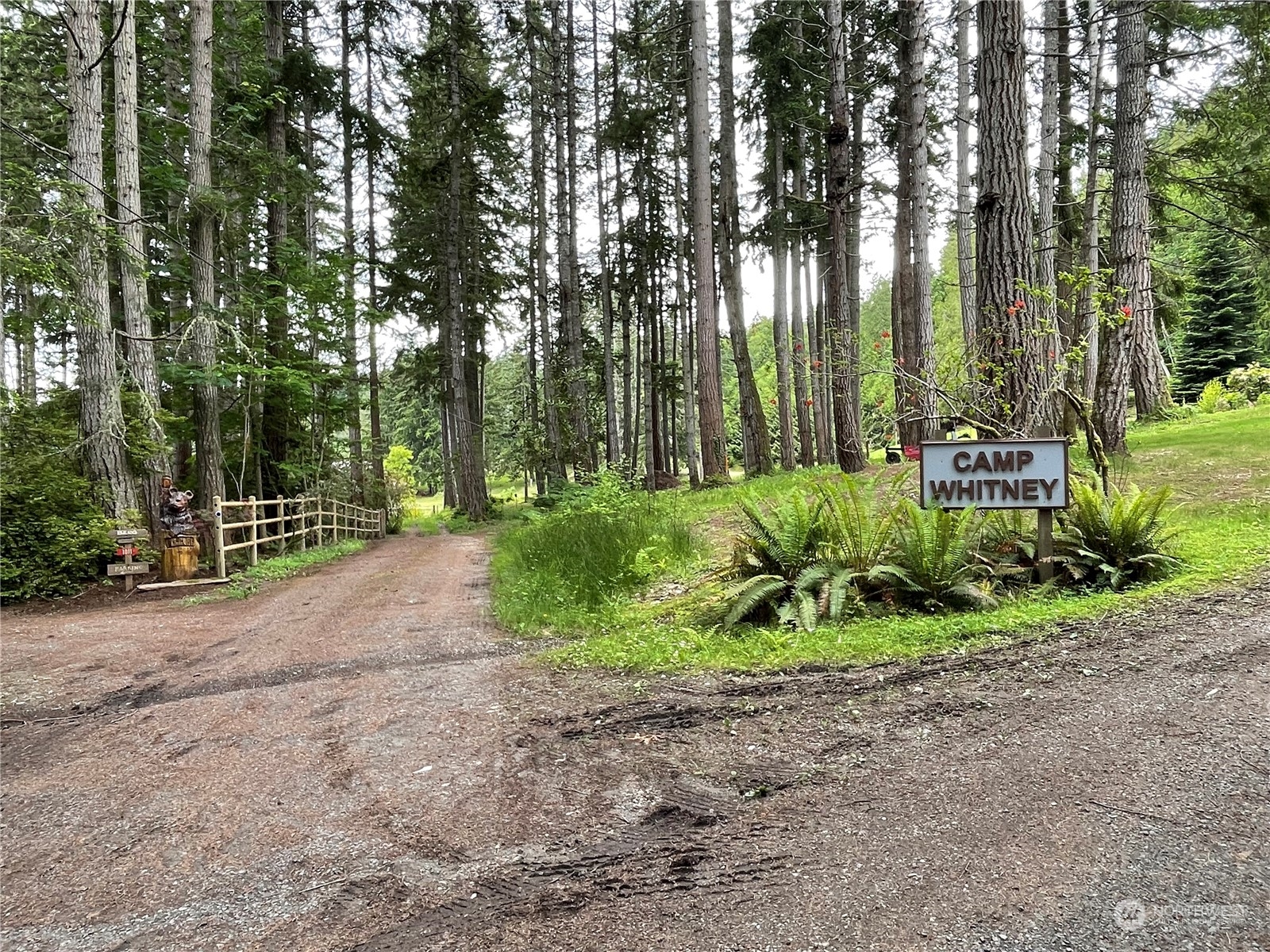 376 Whitney Road Quilcene, WA 98376 - Photo 7 of 31 a view of a park that has large trees