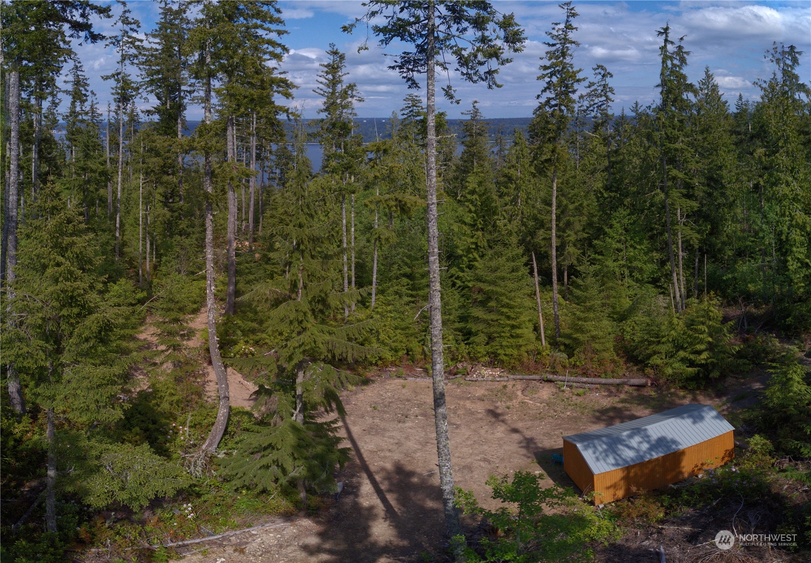 376 Whitney Road Quilcene, WA 98376 - Photo 8 of 31 a view of a yard with plants