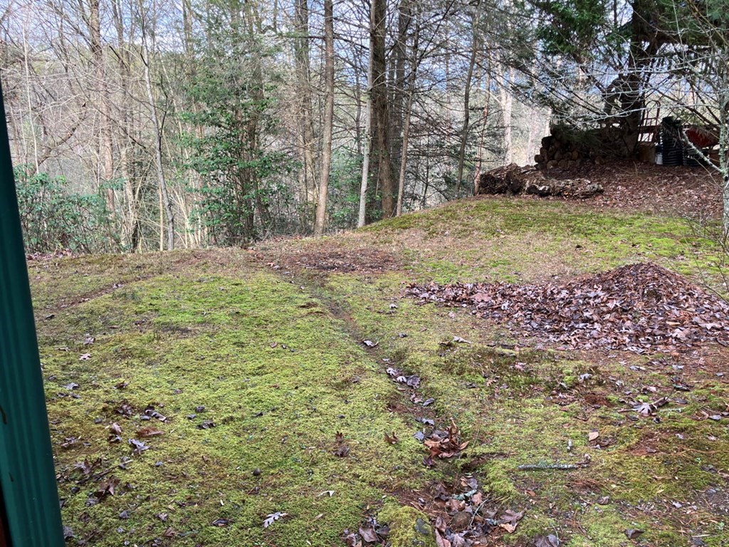 167 Lemon Drop Lane Murphy, NC 28906 - Photo 20 of 23 a view of a yard with plants and trees