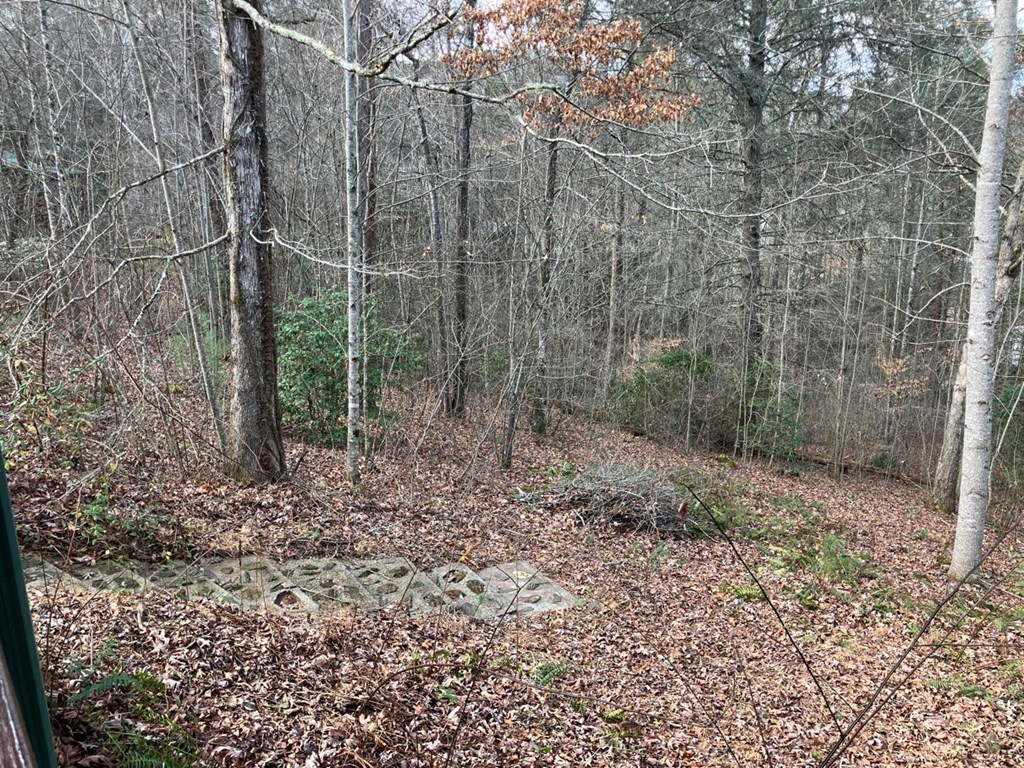 167 Lemon Drop Lane Murphy, NC 28906 - Photo 22 of 23 a view of a forest with trees