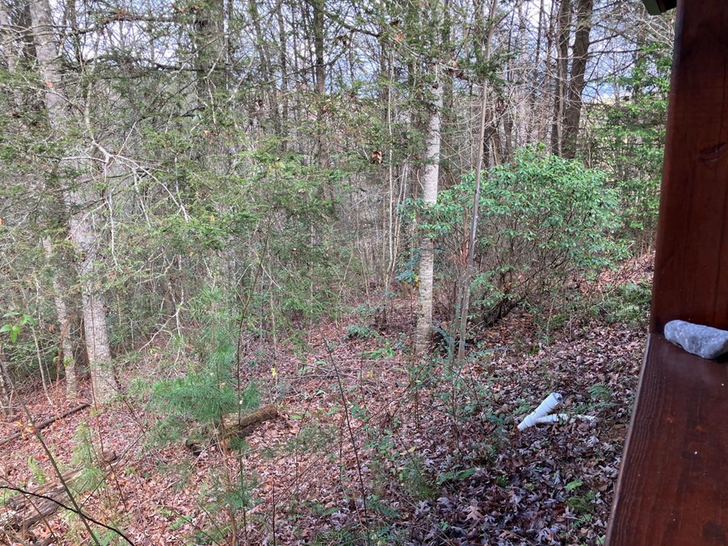 167 Lemon Drop Lane Murphy, NC 28906 - Photo 23 of 23 a view of a forest that has large trees