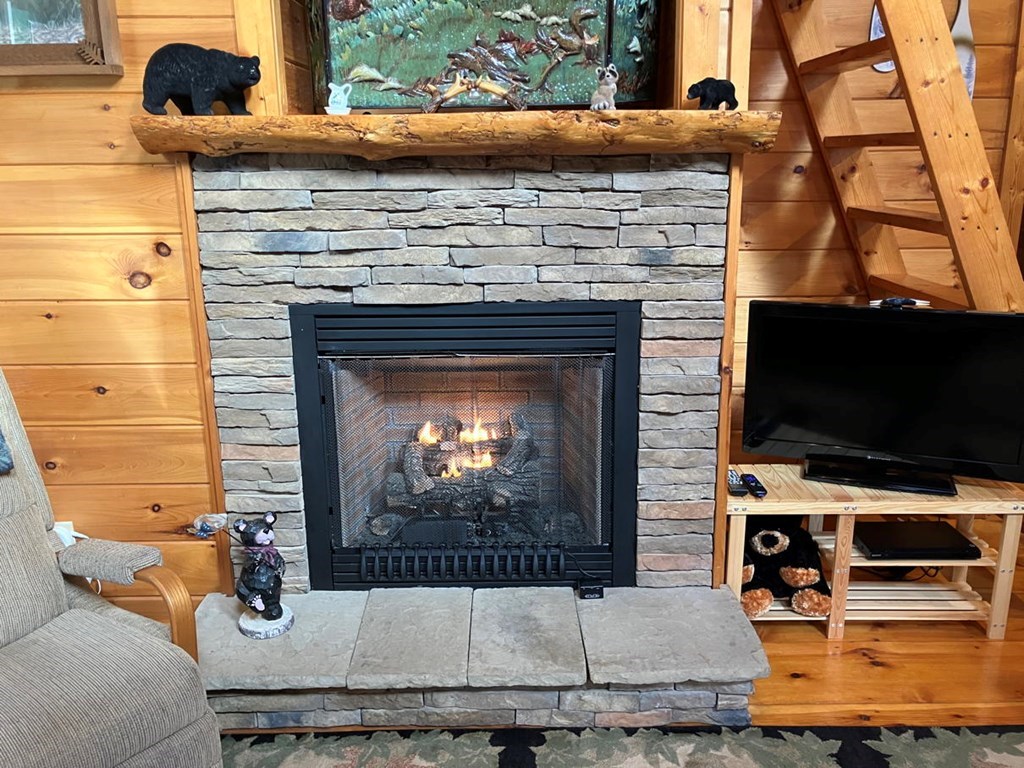 167 Lemon Drop Lane Murphy, NC 28906 - Photo 5 of 23 a living room with fireplace furniture and a flat screen tv
