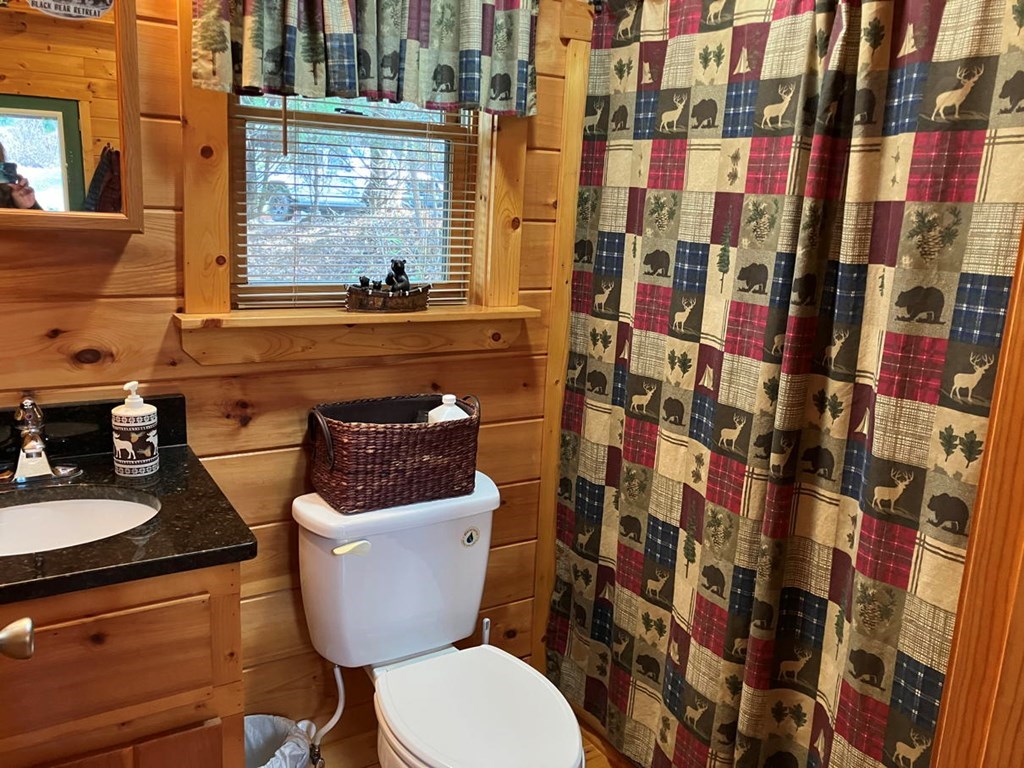 167 Lemon Drop Lane Murphy, NC 28906 - Photo 9 of 23 a bathroom with a toilet and a sink