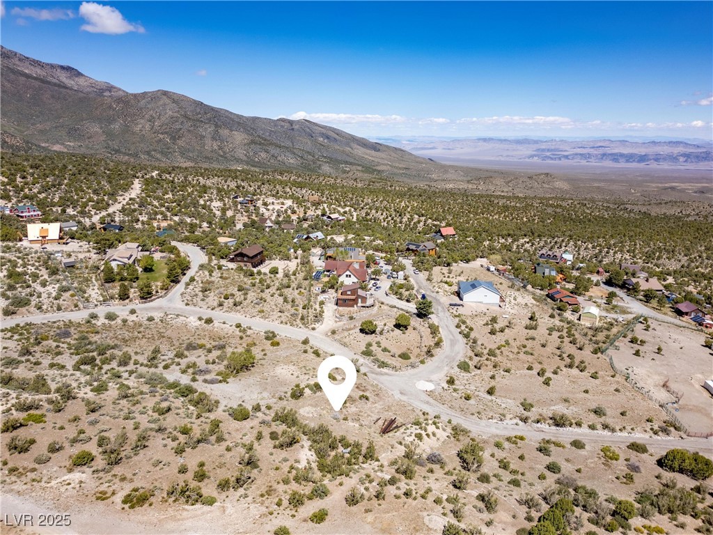 175 Rudin Drive Cold Creek, NV 89124 - Photo 18 of 41