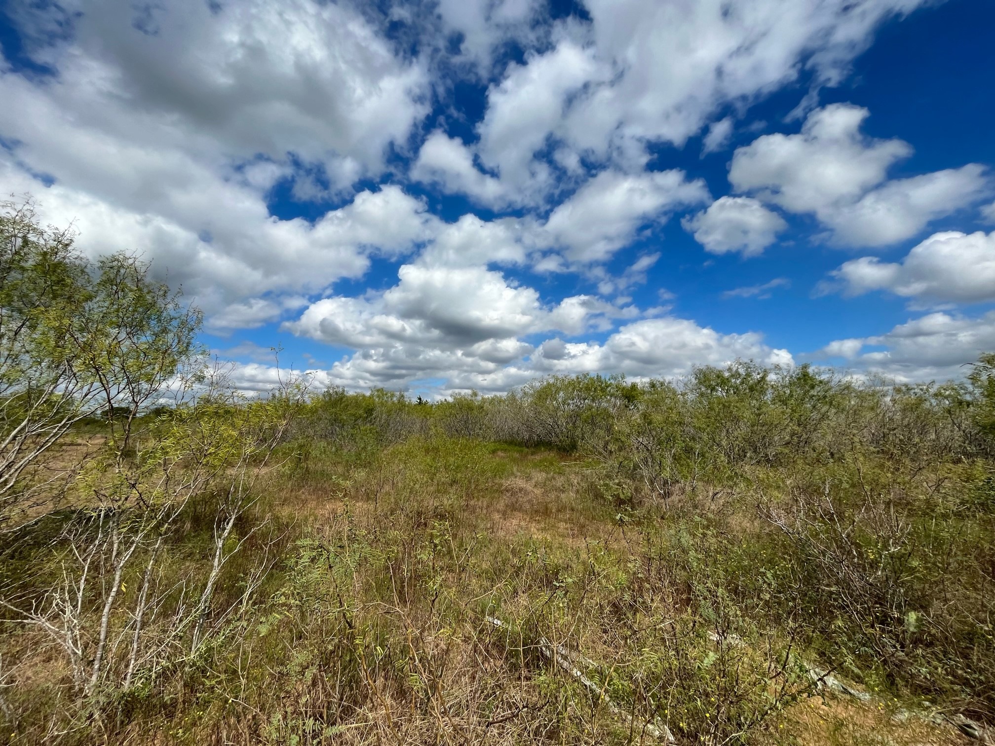 4 Thompson Road Dale, TX 78616 - Photo 8 of 9