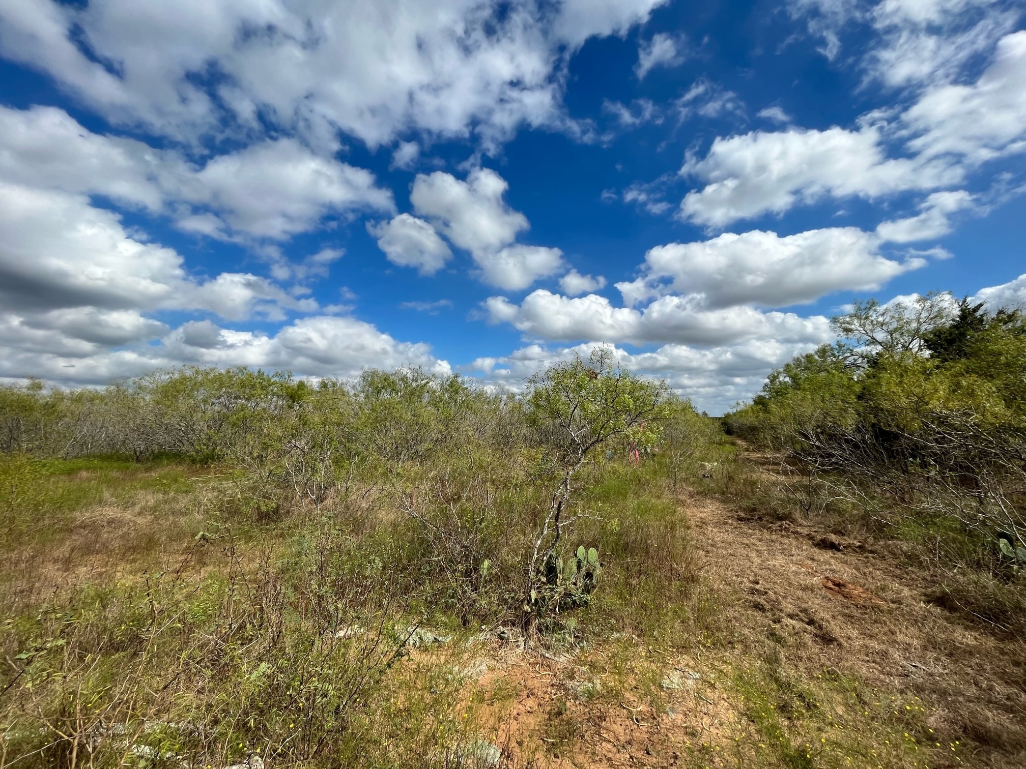 4 Thompson Road Dale, TX 78616 - Photo 9 of 9