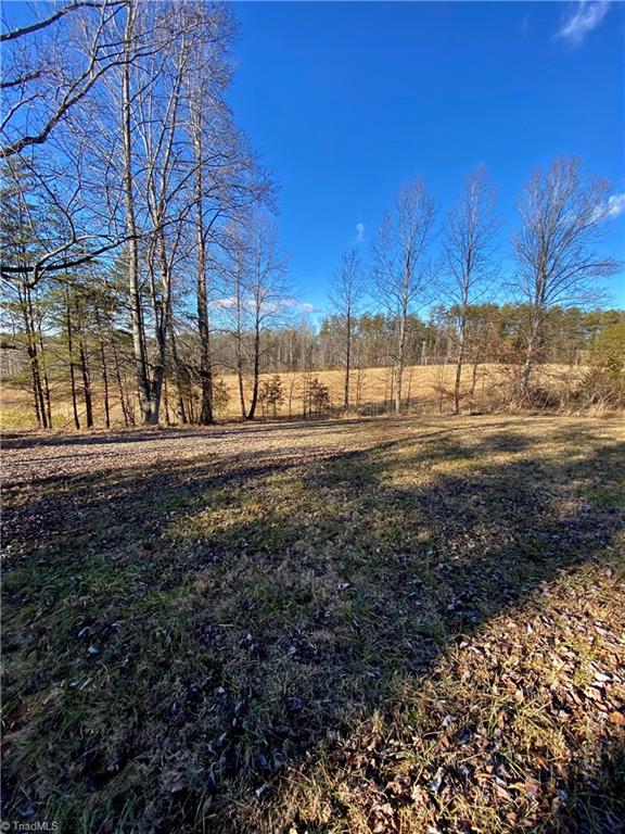 1485 Smith Road Westfield, NC 27053 - Photo 20 of 20 Gallery Image 20