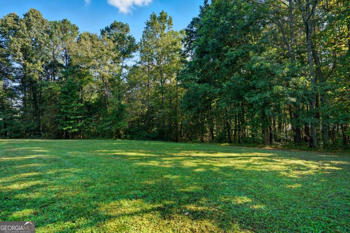 2450 Jones Mountain Road Talking Rock, GA 30175 - Photo 30 of 40 a view of a grassy field with trees in the background