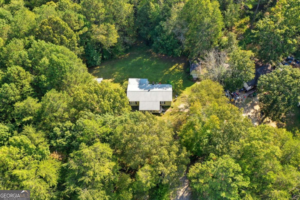 2450 Jones Mountain Road Talking Rock, GA 30175 - Photo 5 of 40 a view of a multi story yard with large trees