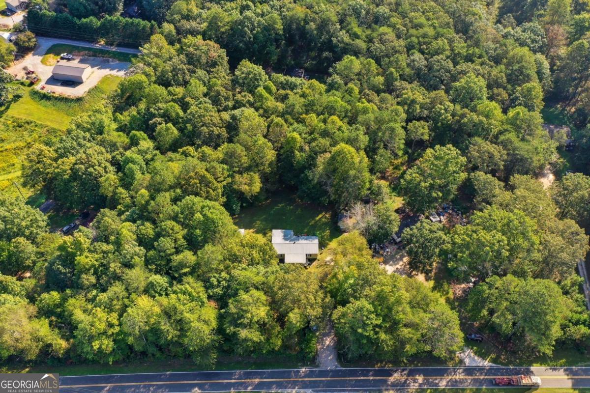 2450 Jones Mountain Road Talking Rock, GA 30175 - Photo 9 of 40 a view of a yard
