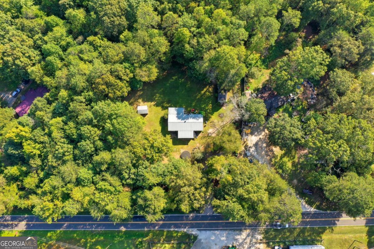 2450 Jones Mountain Road Talking Rock, GA 30175 - Photo 10 of 40 a view of a yard with plants