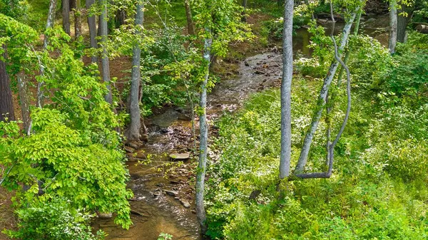 $119,900 | Lot 432 Twisted Oak Road, Talking Rock, GA 30175