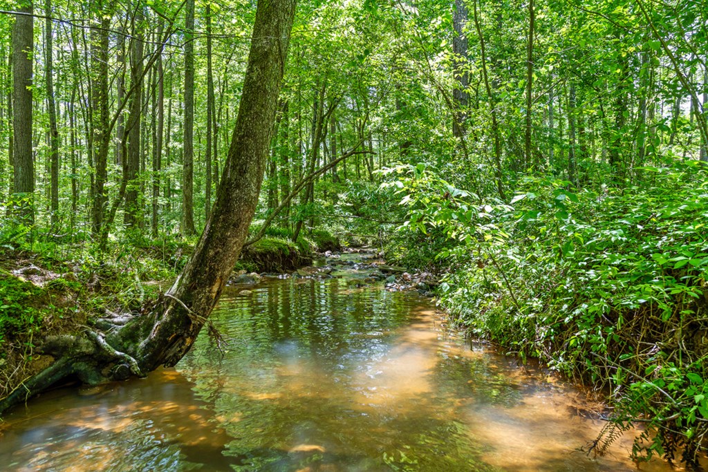 Lot 432 Twisted Oak Road Talking Rock, GA 30175 - Photo 23 of 32