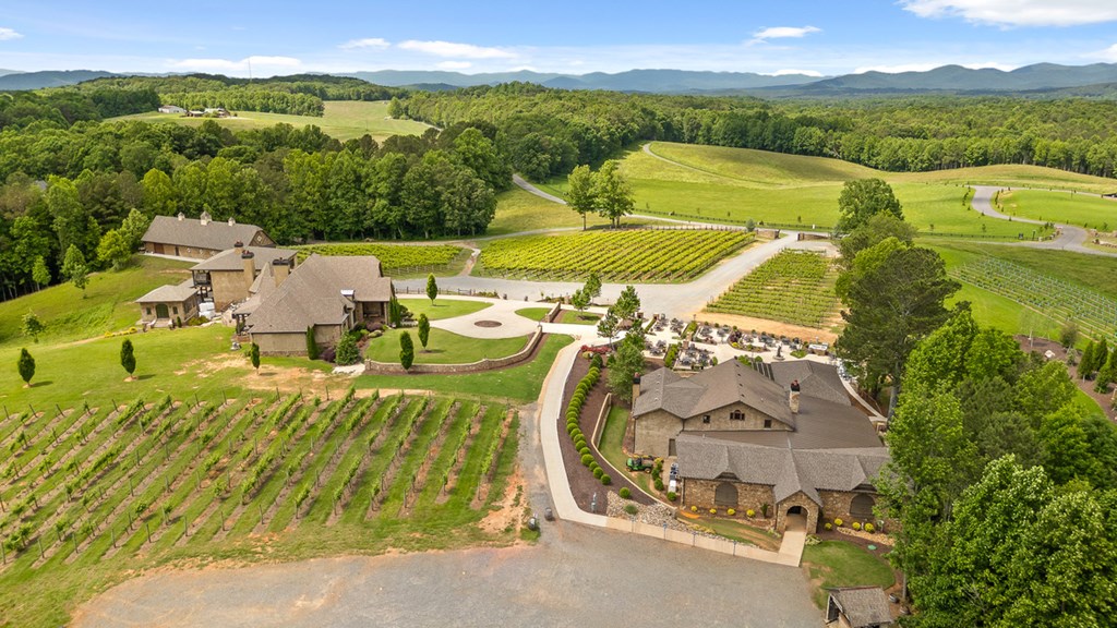 Lot 432 Twisted Oak Road Talking Rock, GA 30175 - Photo 30 of 32