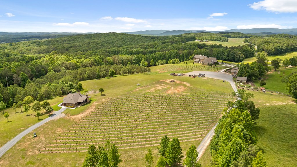 Lot 432 Twisted Oak Road Talking Rock, GA 30175 - Photo 31 of 32