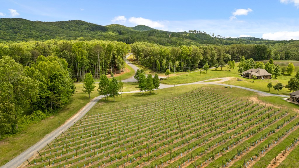 Lot 432 Twisted Oak Road Talking Rock, GA 30175 - Photo 32 of 32