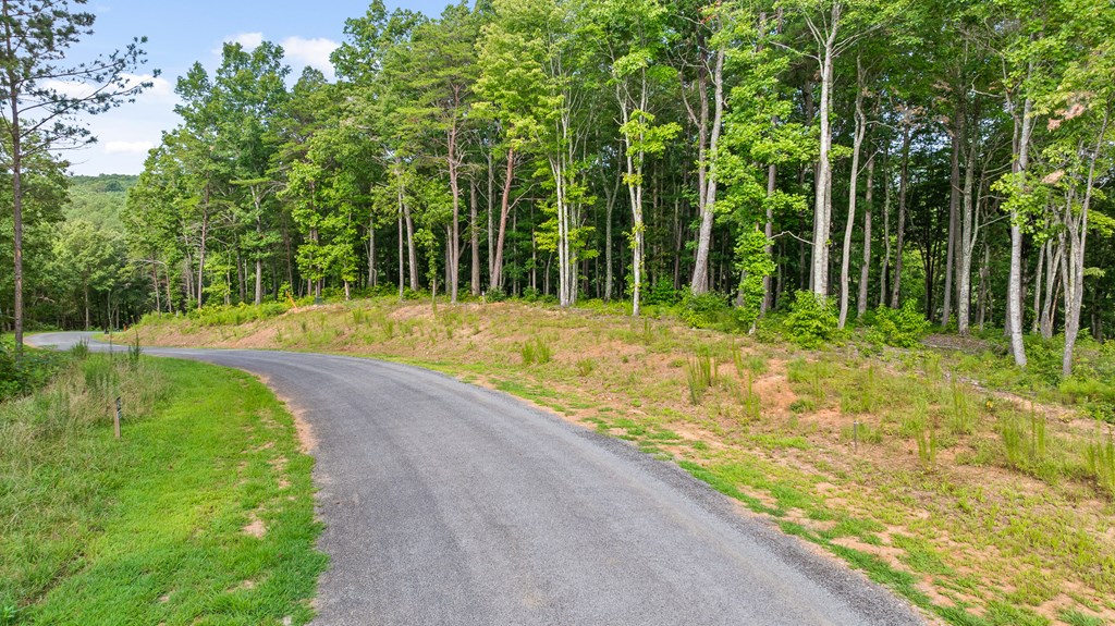 Lot 432 Twisted Oak Road Talking Rock, GA 30175 - Photo 4 of 32