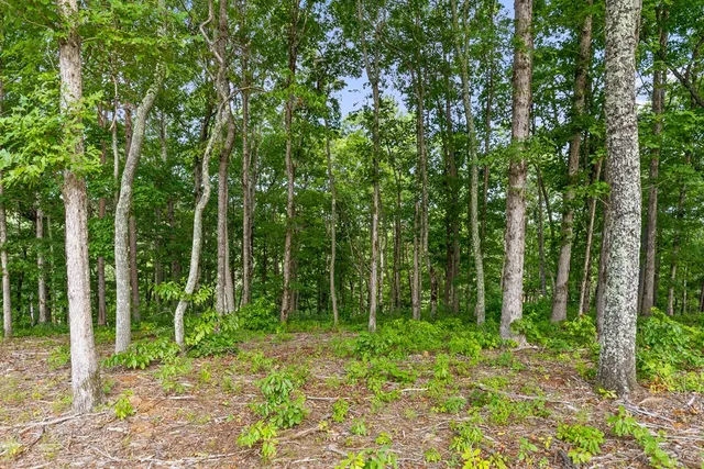 $119,900 | Lot 432 Twisted Oak Road, Talking Rock, GA 30175