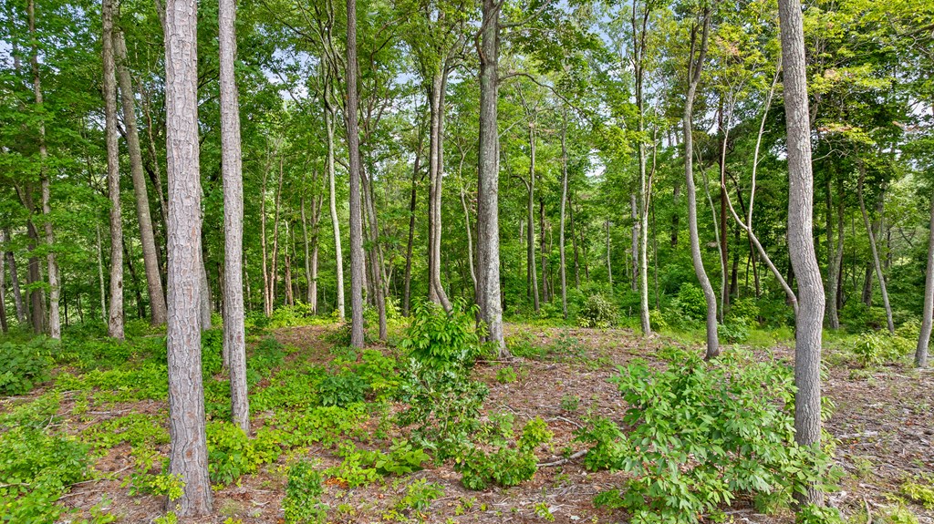 Lot 432 Twisted Oak Road Talking Rock, GA 30175 - Photo 6 of 32