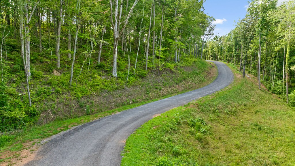 Lot 432 Twisted Oak Road Talking Rock, GA 30175 - Photo 7 of 32