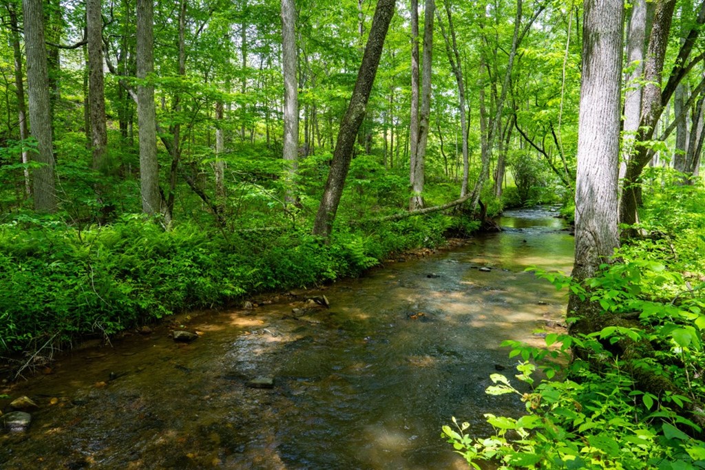 Lot 432 Twisted Oak Road Talking Rock, GA 30175 - Photo 8 of 32