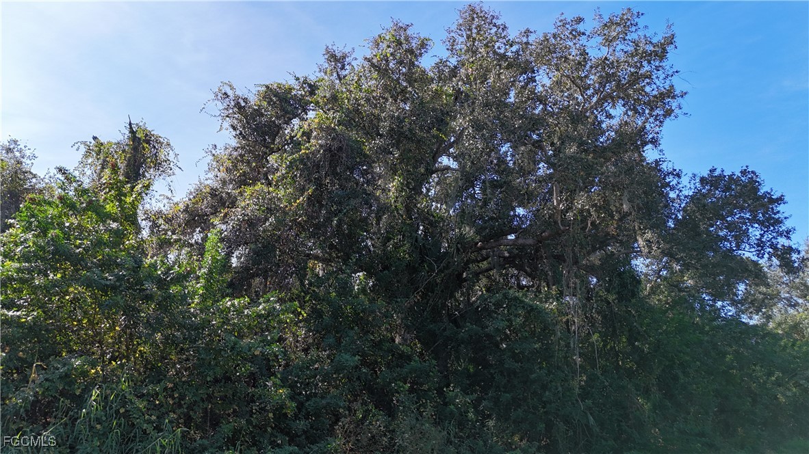 29359 Nottingham Road Punta Gorda, FL 33982 - Photo 15 of 20 a view of a tree