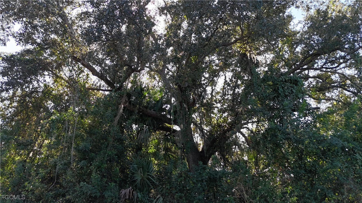 29359 Nottingham Road Punta Gorda, FL 33982 - Photo 19 of 20 a view of tree