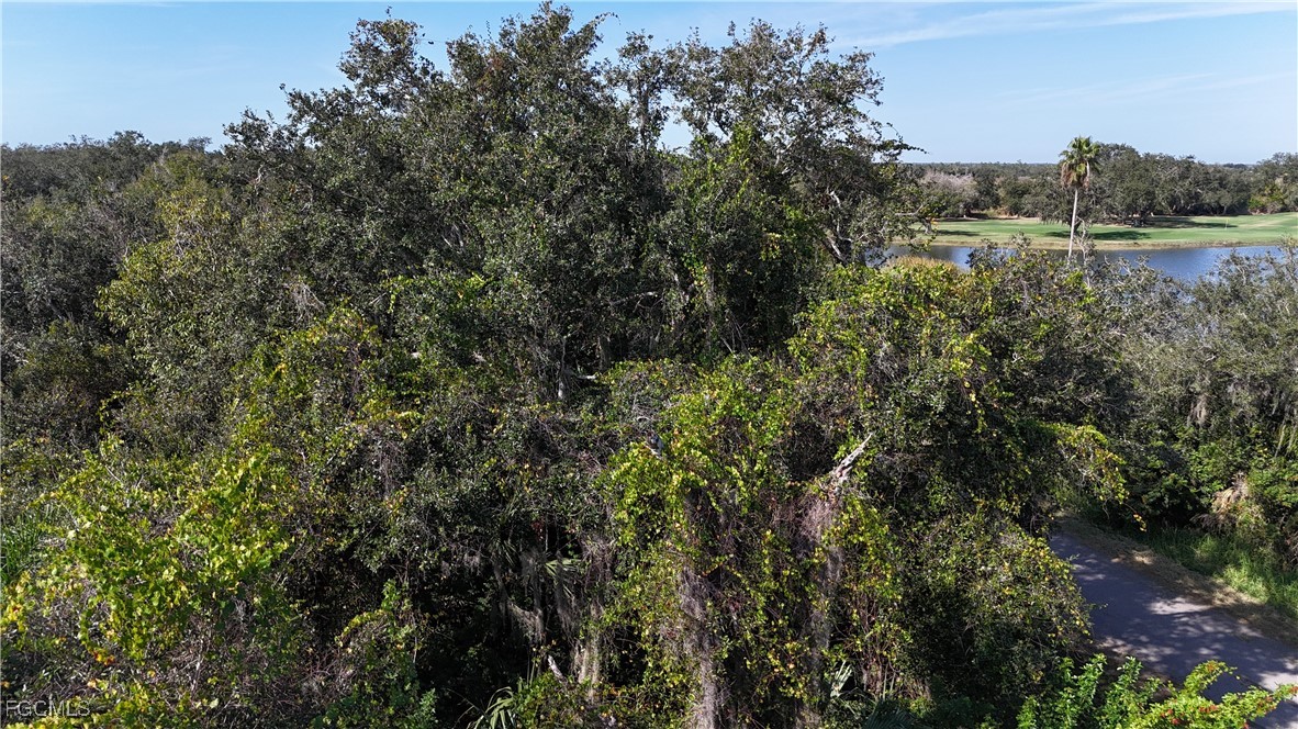 29359 Nottingham Road Punta Gorda, FL 33982 - Photo 6 of 20 a view of a lake from a forest