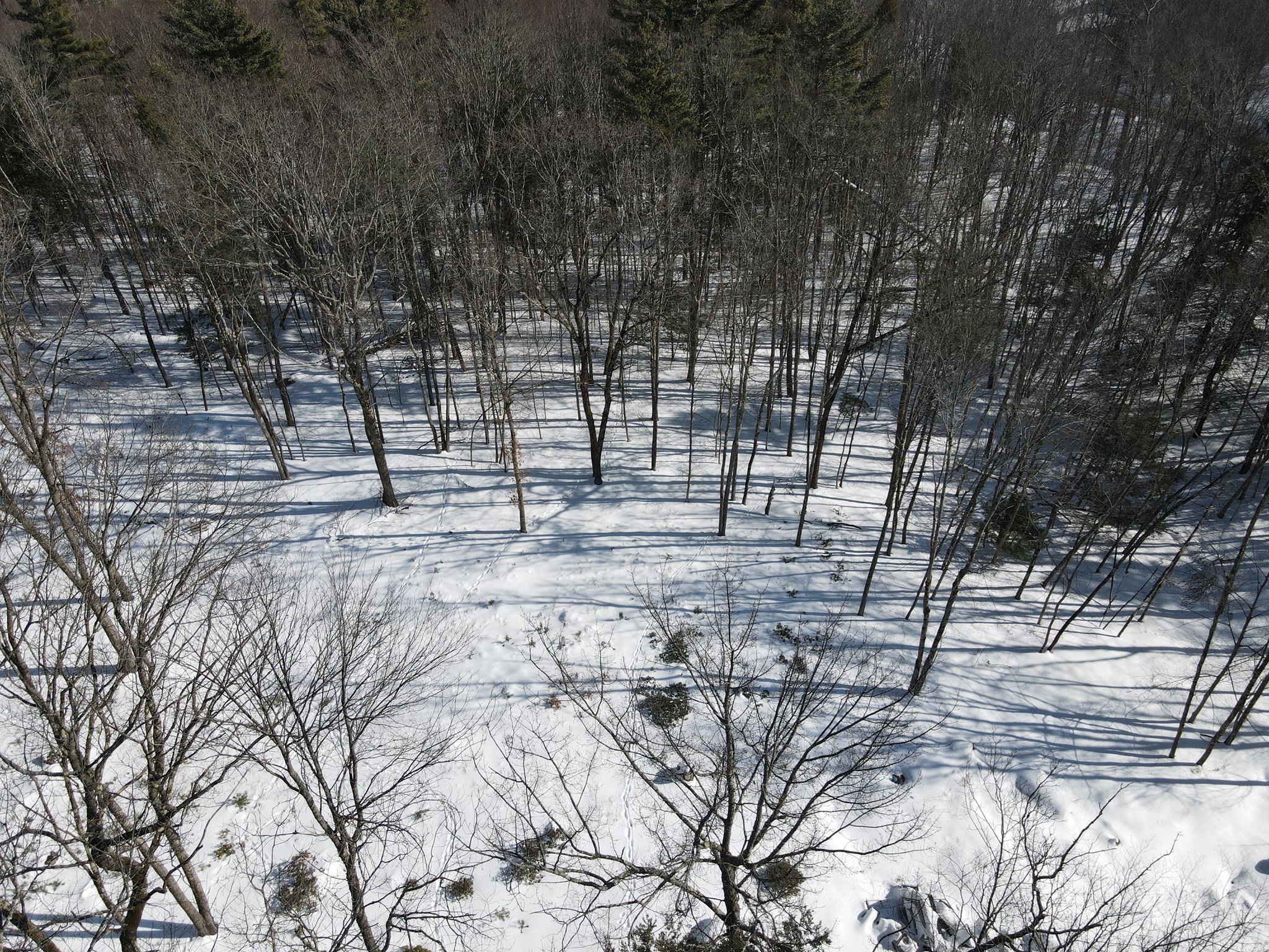 0 Fox Hill Road Bernardston, MA 01337 - Photo 5 of 18 Gallery Image 5