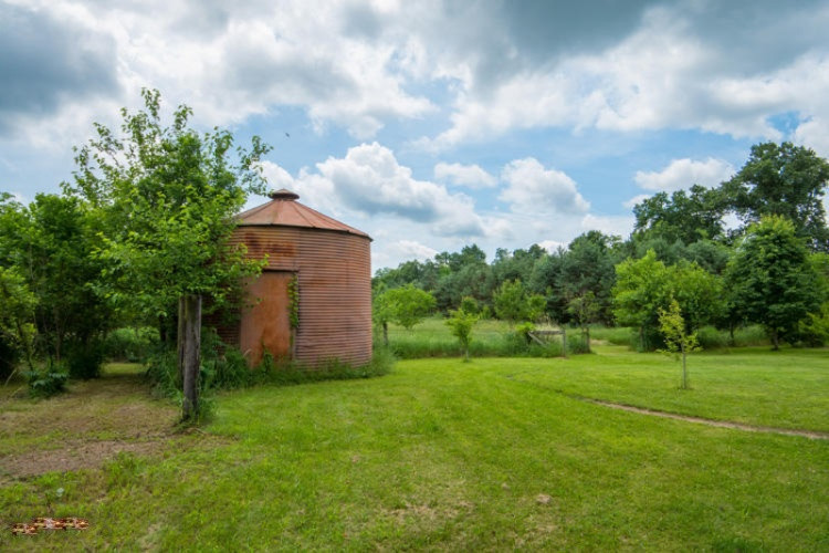 2863 Beebe Road Niles, MI 49120 - Photo 35 of 39 2863 Beebe Rd Niles_Yard (6)