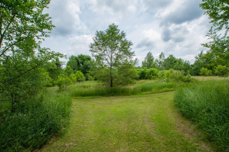 2863 Beebe Road Niles, MI 49120 - Photo 36 of 39 2863 Beebe Rd Niles_Yard (7)