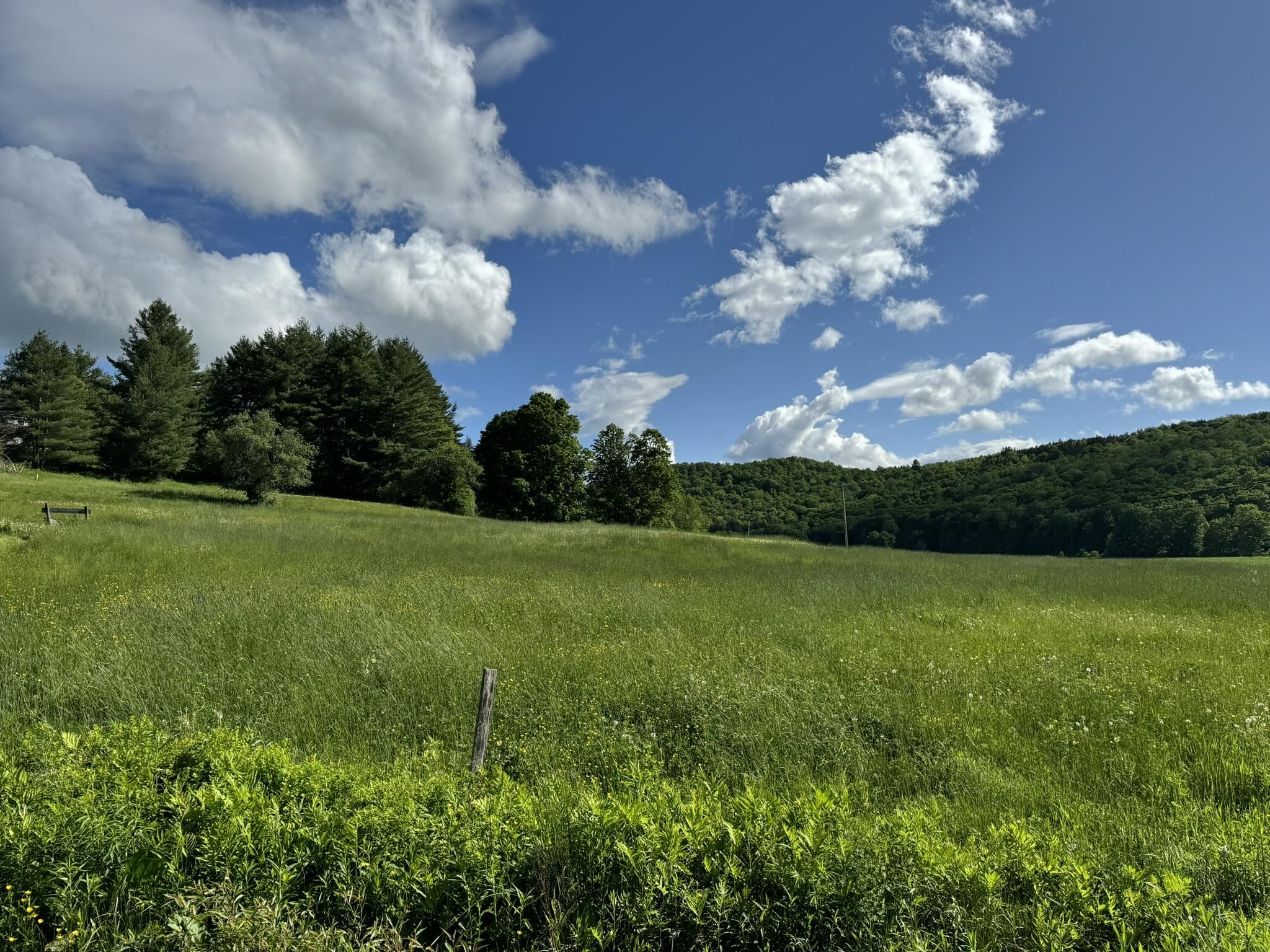 0 Happy Haven Road, Unit LOT 45 Wilmington, VT 05363 - Photo 5 of 29