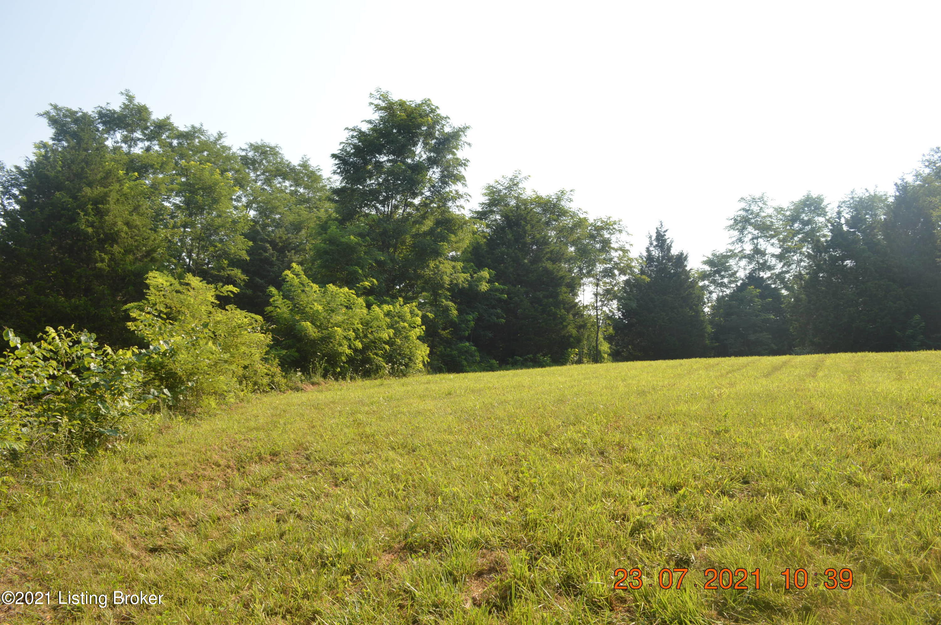 298 Silverview Road Smithfield, KY 40068 - Photo 2 of 10 DSC_0001