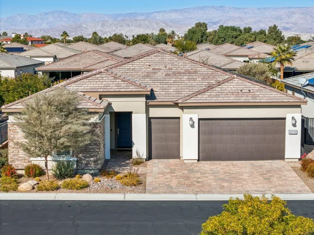 a kitchen with a sink and a potted plant