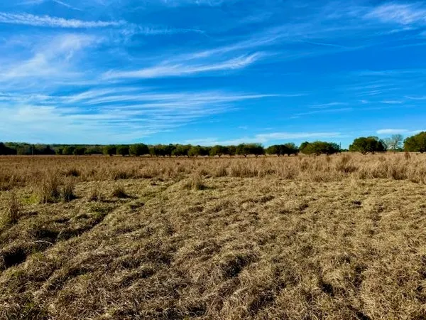 $89,500 | Lot 103 Lakeland Ranch, Hillister, TX 77624
