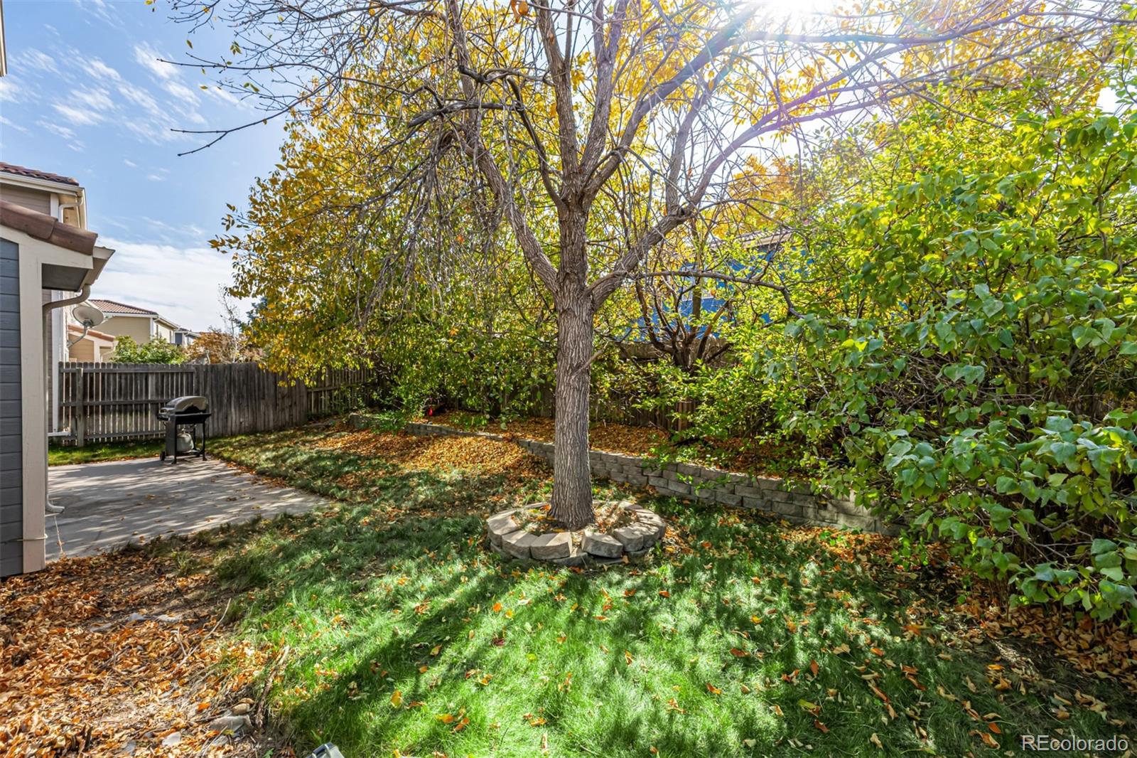 21300 East 42nd Avenue Denver, CO 80249 - Photo 29 of 48 a backyard of a house with lots of green space