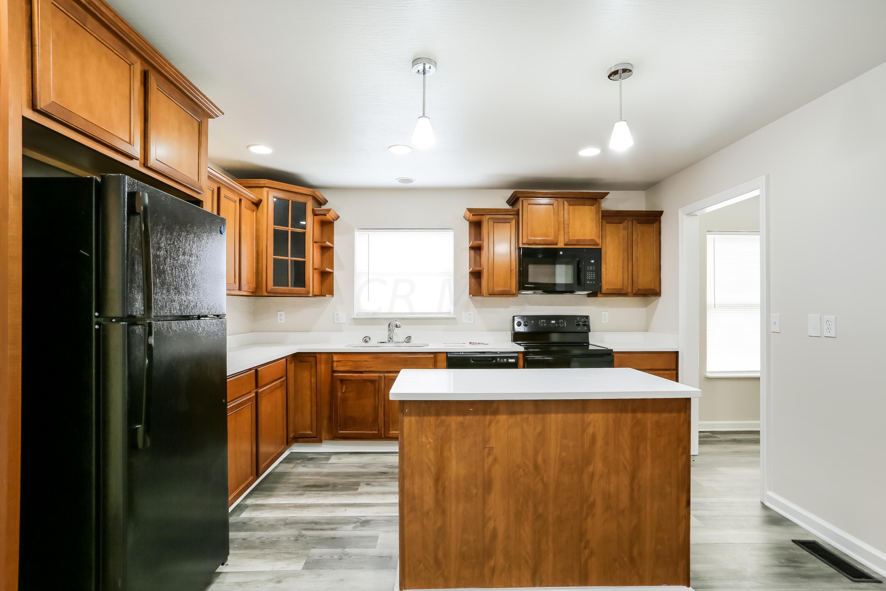 312 Genoa Road Commercial Point, OH 43116 - Photo 6 of 16 021-photo-kitchen-13198902