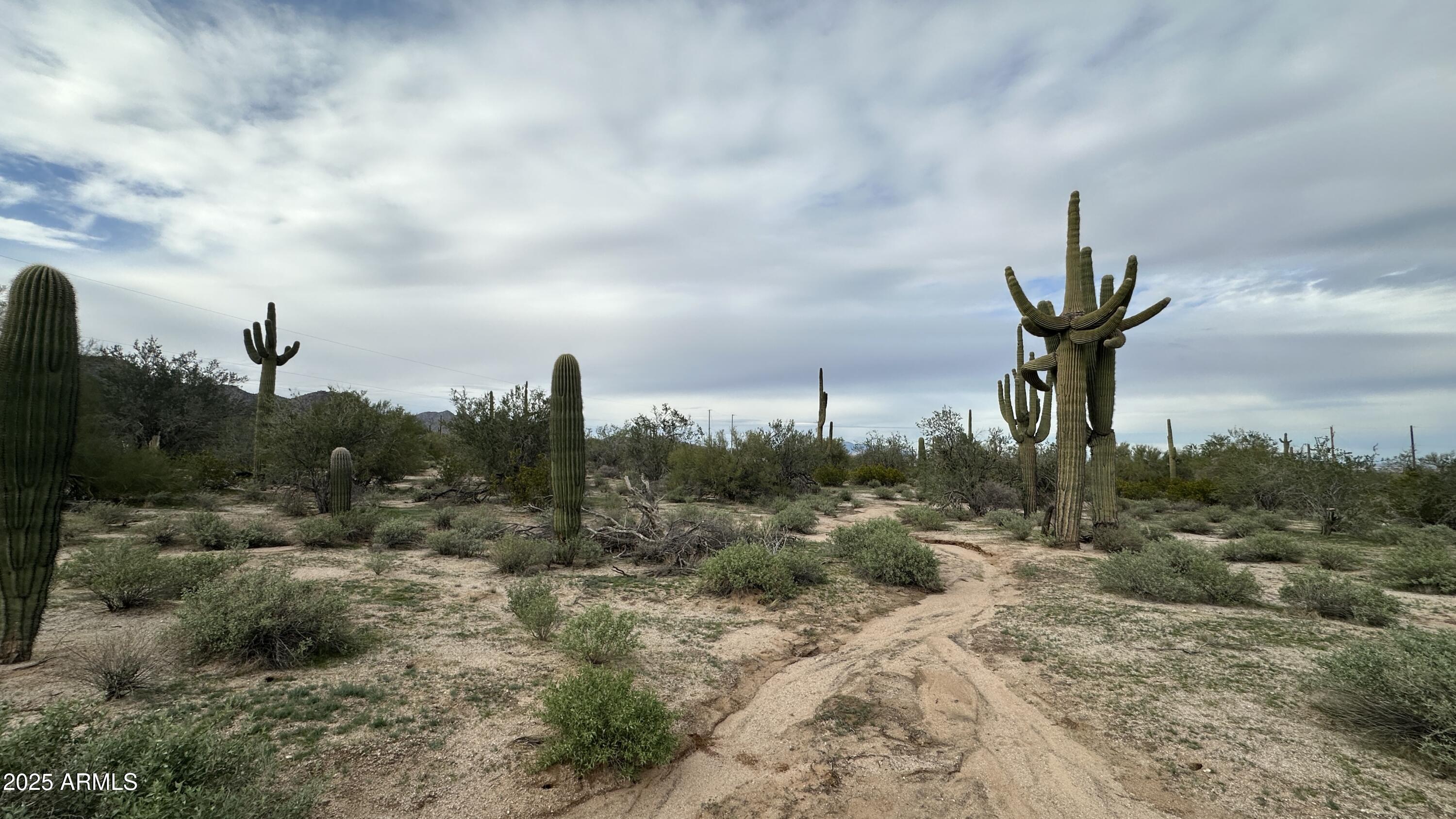0 West Robin Road, Unit 31 Maricopa, AZ 85139 - Photo 3 of 8 a view of a sky
