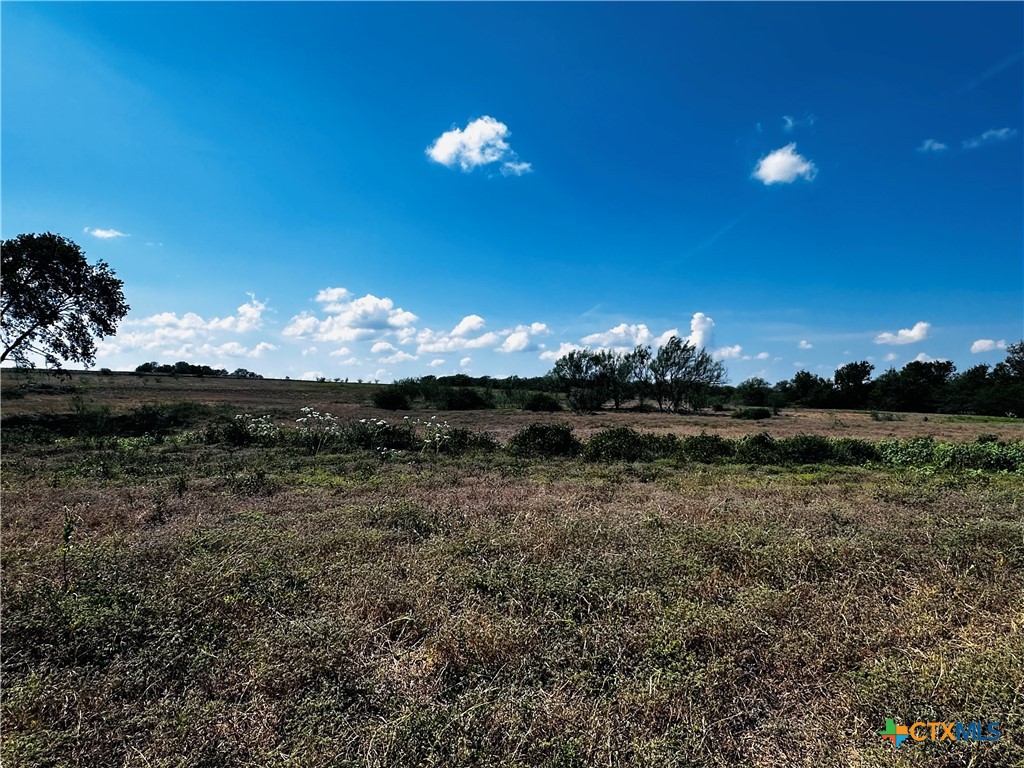 4090 Morris Community Road Yoakum, TX 77995 - Photo 1 of 1