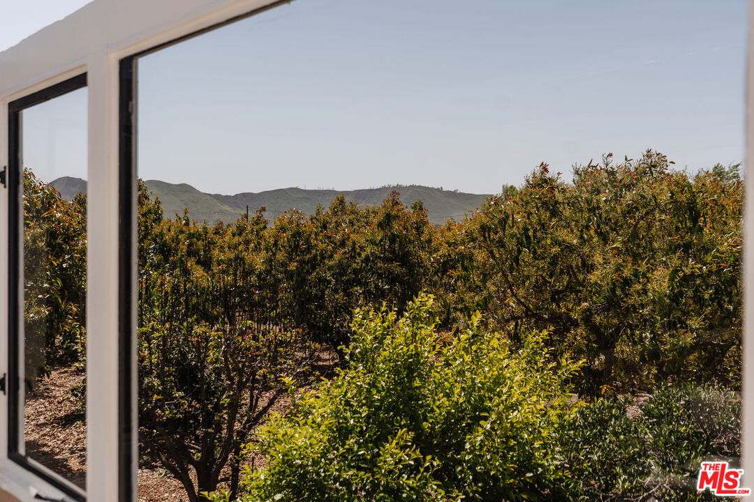 280 Cummings Road Santa Paula, CA 93060 - Photo 33 of 57
