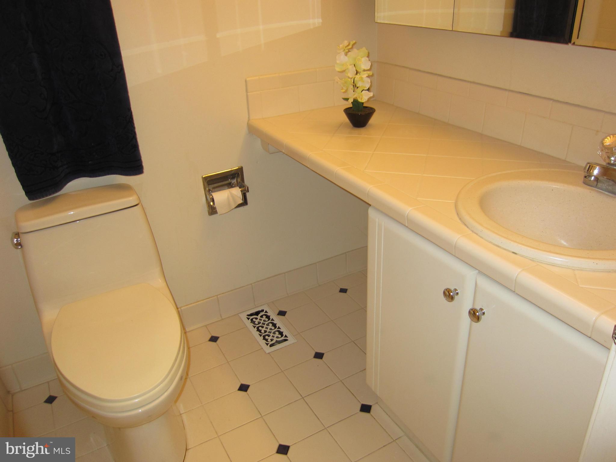 15212 Winstead Lane Silver Spring, MD 20905 - Photo 17 of 30 Hall bath on main level