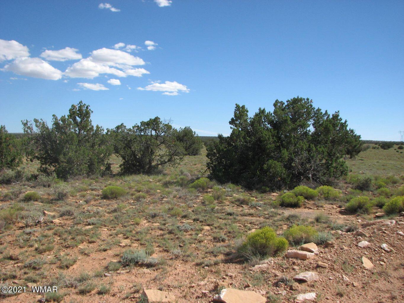 Lot 305 Chevelon Canyon Ranch Heber, AZ 85928 - Photo 1 of 6