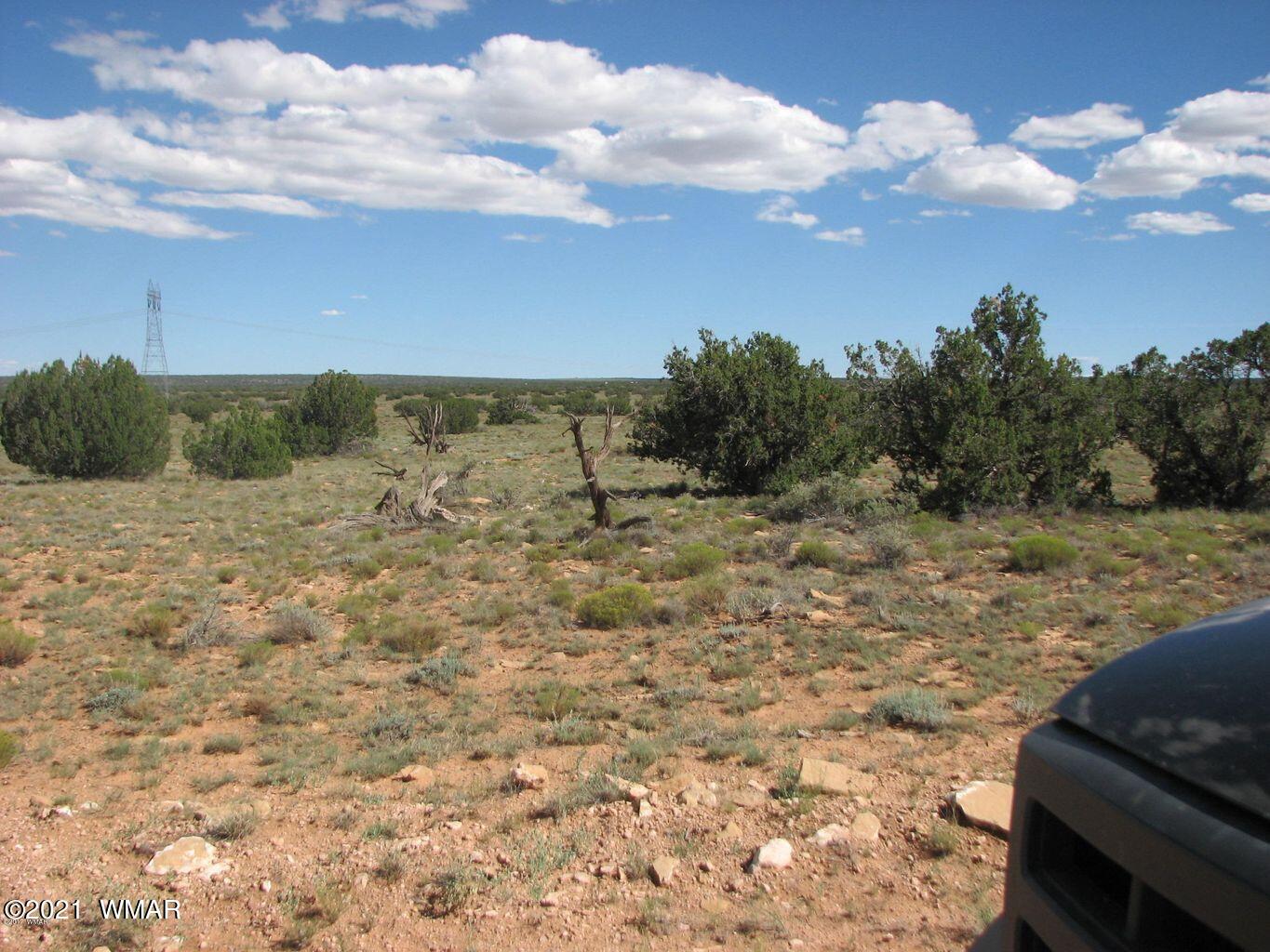 Lot 305 Chevelon Canyon Ranch Heber, AZ 85928 - Photo 3 of 6