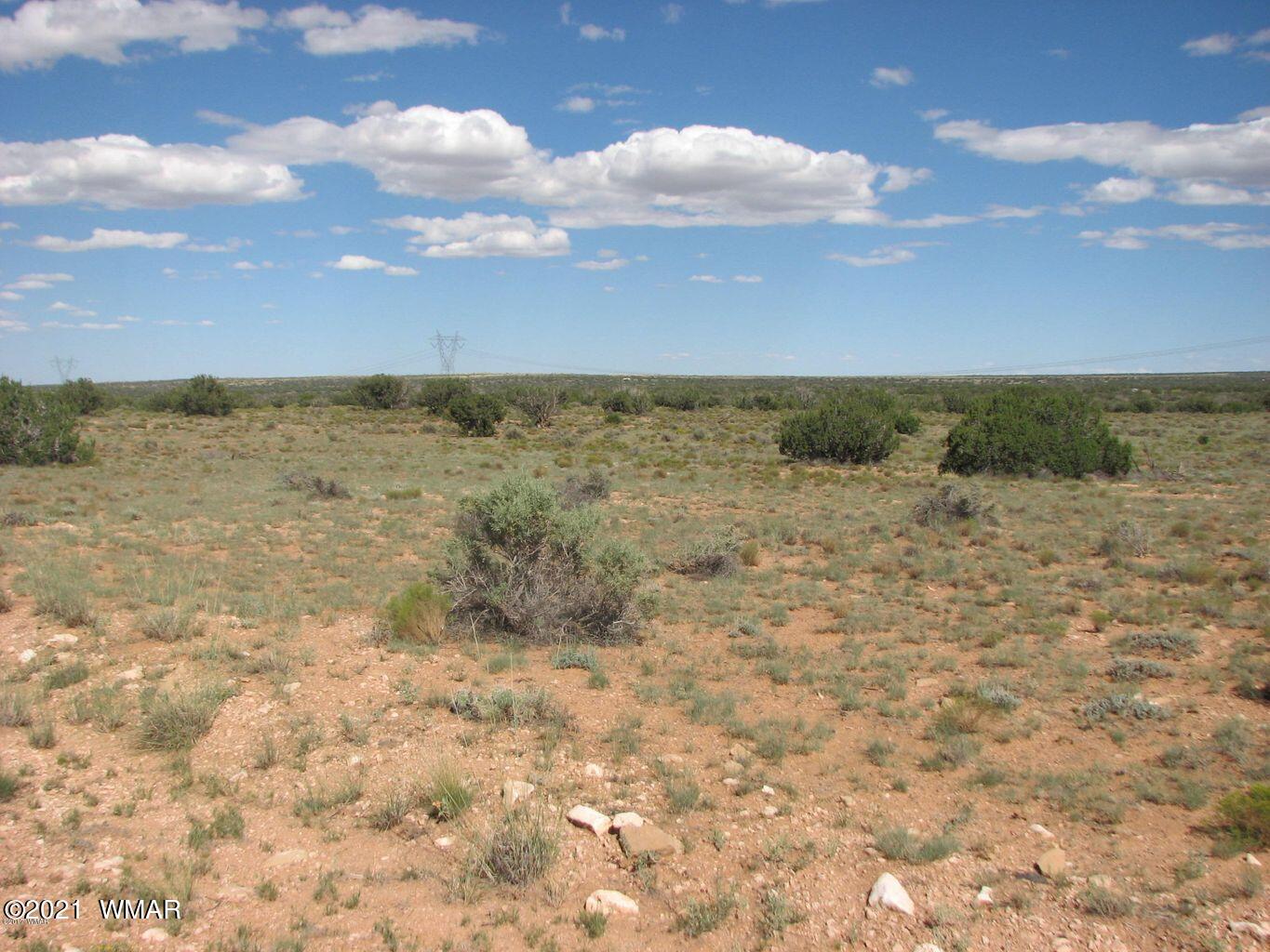 Lot 305 Chevelon Canyon Ranch Heber, AZ 85928 - Photo 4 of 6