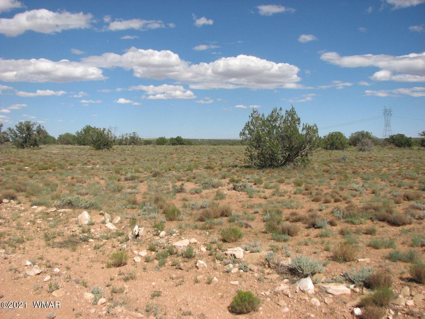 Lot 305 Chevelon Canyon Ranch Heber, AZ 85928 - Photo 5 of 6