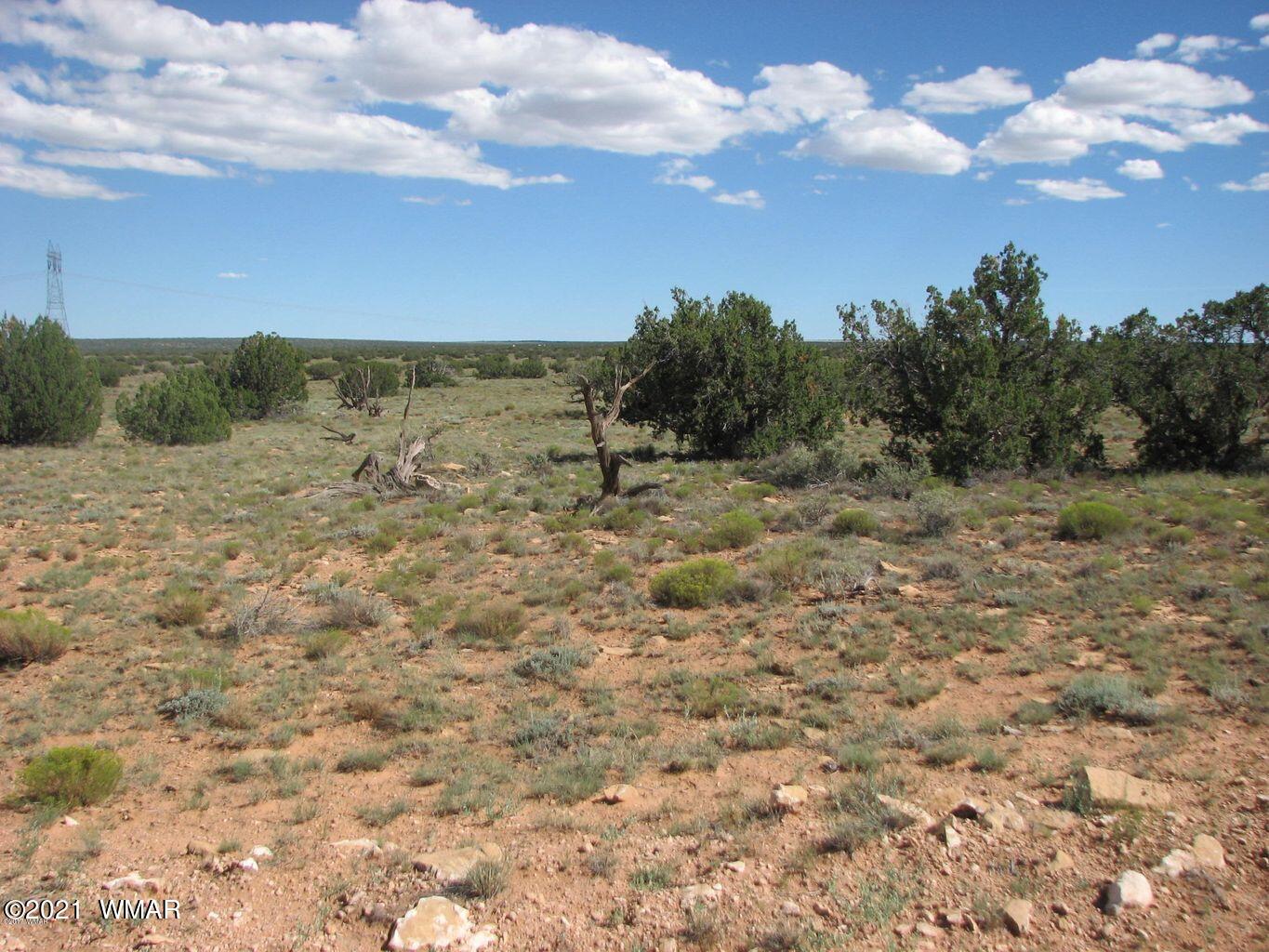 Lot 305 Chevelon Canyon Ranch Heber, AZ 85928 - Photo 6 of 6