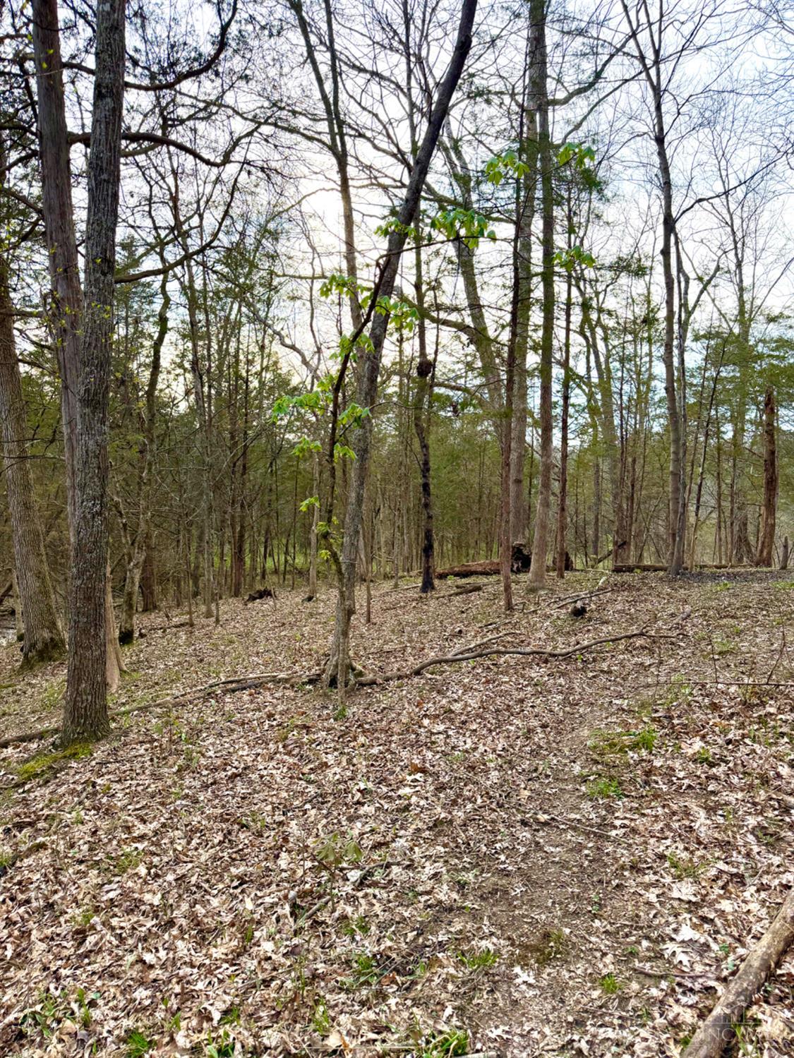 1600 Magee Jones Road Peebles, OH 45660 - Photo 56 of 91