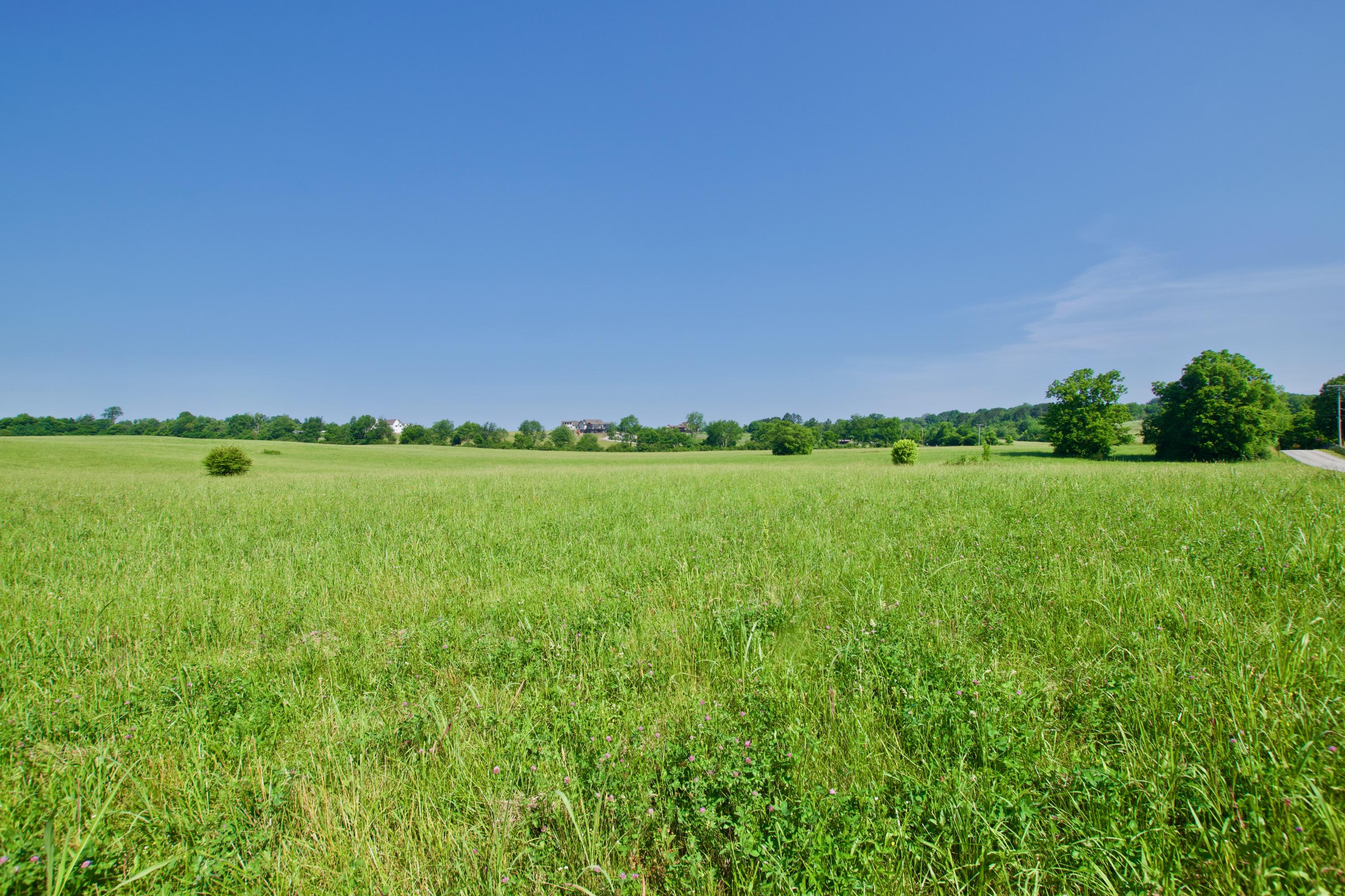 Lot 7 Chilhowee View Road Maryville, TN 37803 - Photo 4 of 5 DSC_0631