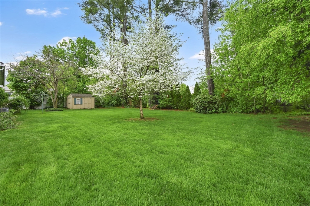 95 Old Lane Road Springfield, MA 01129 - Photo 32 of 41 Gallery Image 32