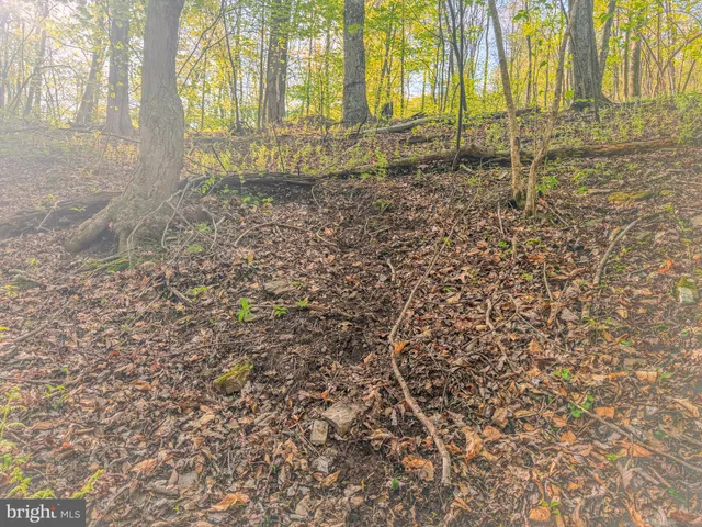 a view of a backyard of the house